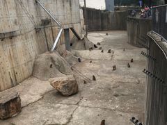 -无锡动物园·太湖欢乐园