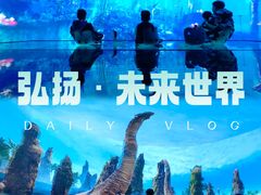 -弘阳·未来世界(弘阳广场店)