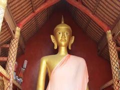 -西双版纳傣族园