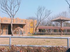 -扬州市茱萸湾风景区