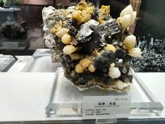 -湖南省地质博物馆