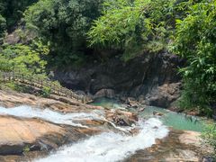 -广州白江湖森林公园