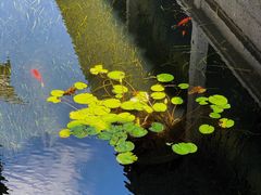-兰亭风景区