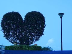 -东莞植物园