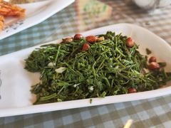 -京北渔家傲