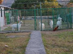 -宁波九龙湖开元度假村
