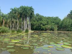 -中国科学院西双版纳热带植物园