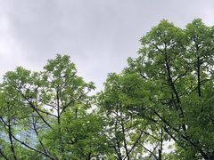 -天河体育中心