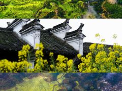 -篁岭景区