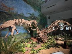 -自贡恐龙博物馆