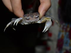 -西涌国际滨海旅游区