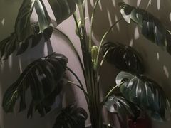 -小确幸 Massage(环贸iapm店)