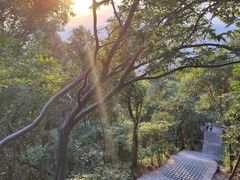 -紫金山山顶公园
