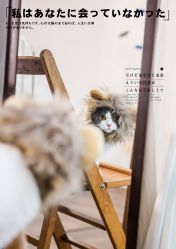 -ZOO KIDS象集摄影工作室(西城公馆店)