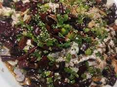 -三猫黑鱼花(南大店)
