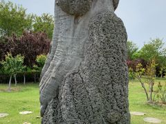 -烟台自然博物馆