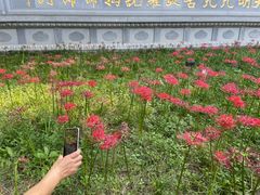 -西安大兴善寺