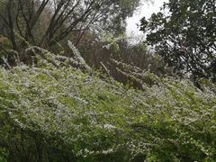-西湖风景区-江洋畈生态公园