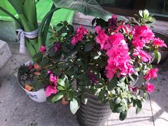 -何适山庄 ·可团建(水长城P2停车场店)