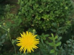 -小赖鱼馆