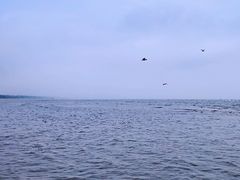 景点-鸽子窝公园