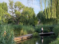 -三里河公园