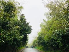 -汪家馄饨(集庆路店)