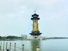 -溱湖国家湿地公园