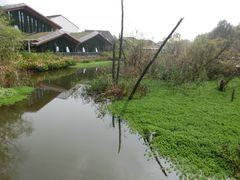-西湖风景区-江洋畈生态公园