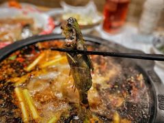 -费明中罗非鱼(大石坝店)