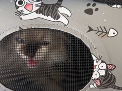 -艾贝尔宠物医院·狂犬免疫点(江山金象城店)