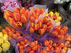 -循礼门鲜花花市(武汉循礼门店)