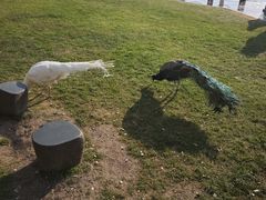 -天目湖涵田度假村