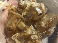 土笋冻-铭聚章鱼土笋冻(松柏店)