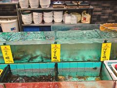 -有腥气私房菜·寻味顺德