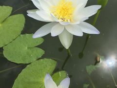 -东风公园