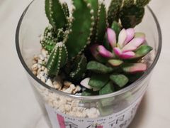 -海底捞火锅(大融城店)