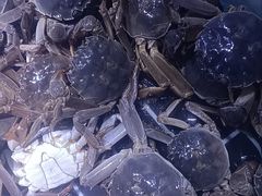 -聚盛源蒸汽海鲜火锅烤肉自助(巨川金海岸购物广场店)