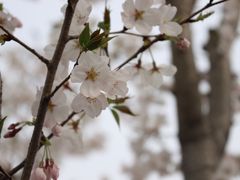 -嘉北郊野公园