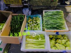 -鑫朱雀农贸批发市场