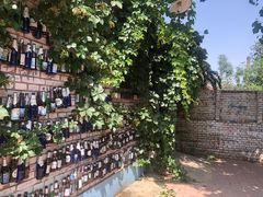 -西西这里民谣酒馆