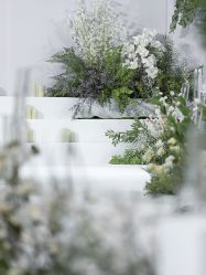 点击看大图 -红丝高端婚礼中心(旗舰店)