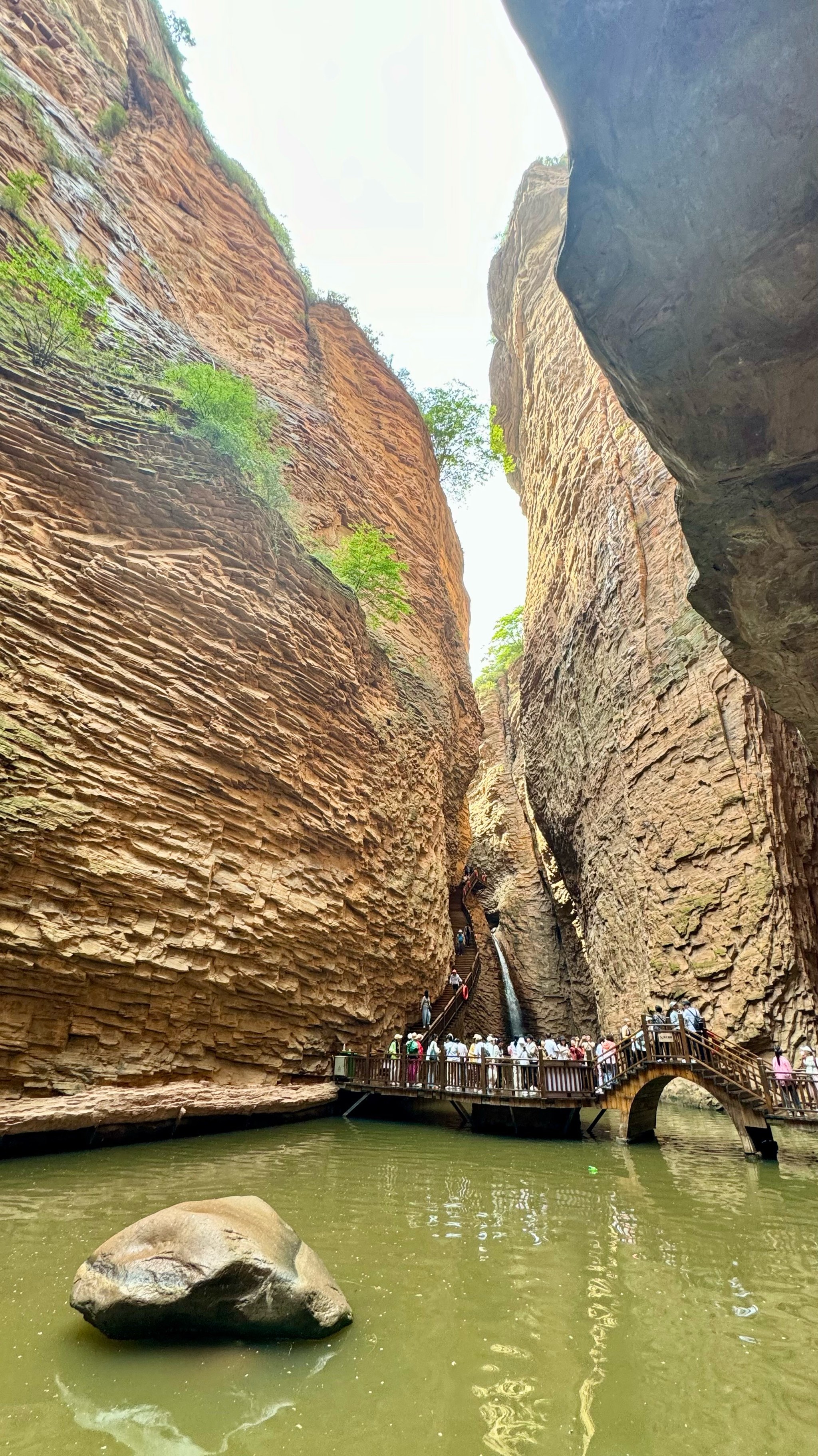 峡谷之巅百科图片