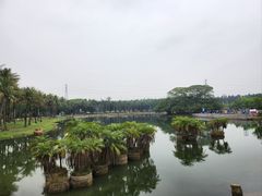 -海上田园