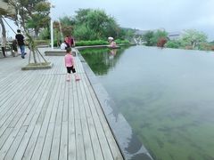 -江南天池