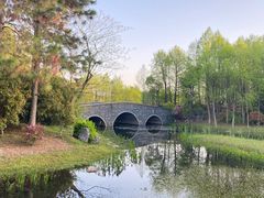 -长广溪湿地公园