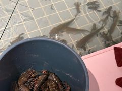 -虾胡闹龙虾馆(湄南河店)
