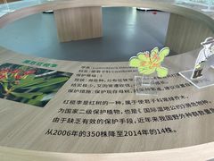 -东寨港红树林旅游区