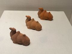 -隋唐大运河文化博物馆