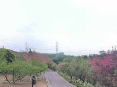 -重庆园博园